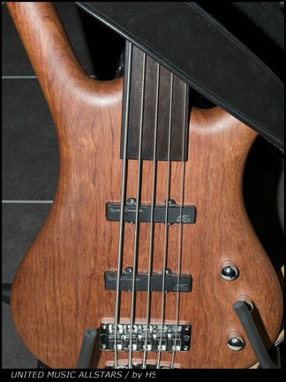 Mikes Warwick Corvette Fretless 5 String Bass